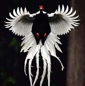 Meet your Posher, Jorge